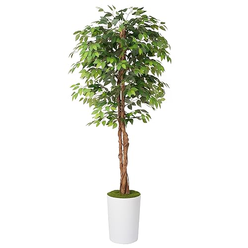 Waoops 7Ft Artificial Ficus Tree in Large Tall Planter -