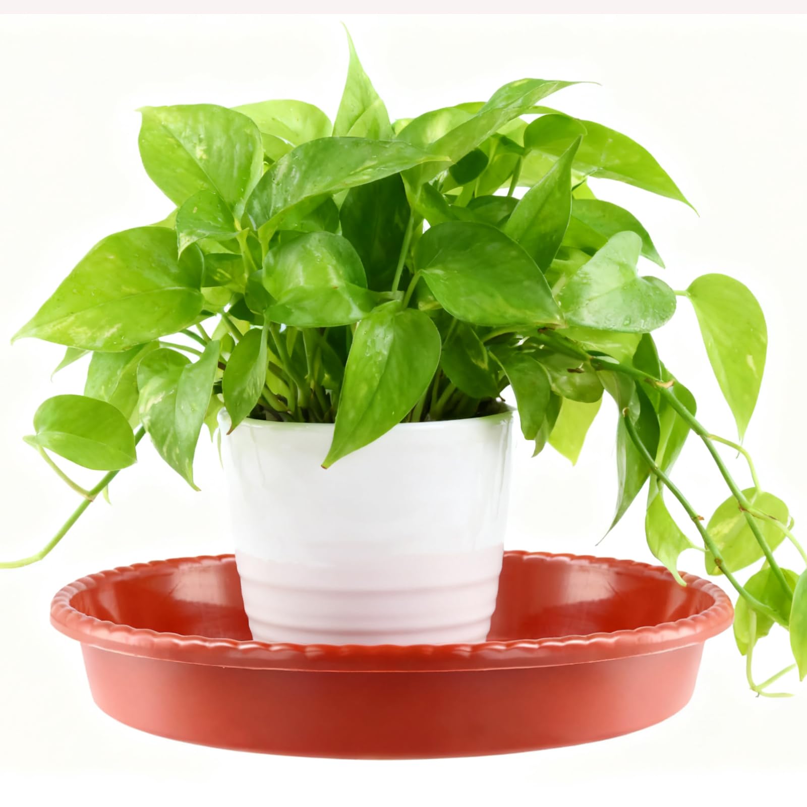 MUKLEI 25 Platillos Rojos para Macetas de 25 cm - Bandejas de Plástico Redondas con Encaje - Bandeja de Goteo para Plantas de Interior y Exterior - Suculentas, Flores, Jardín