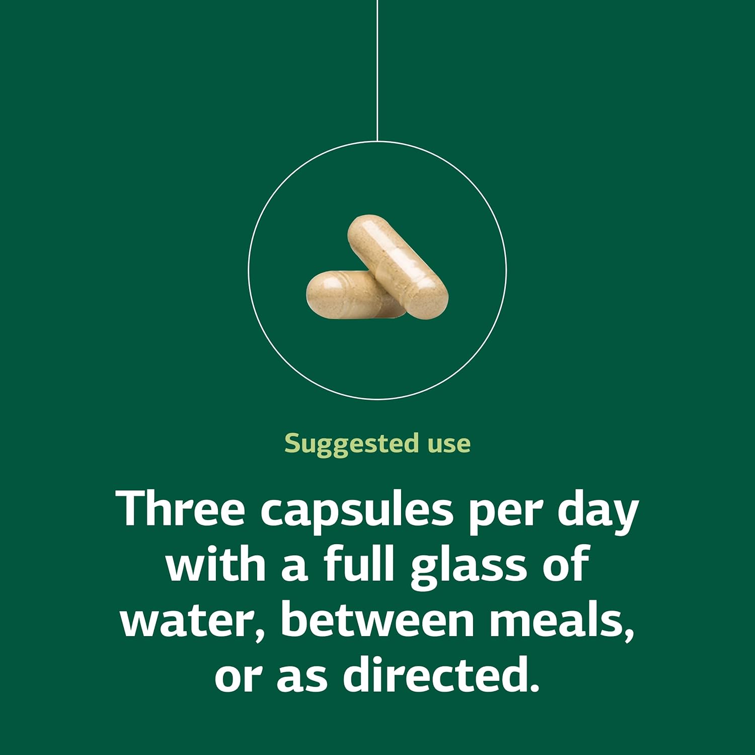 Standard Process Collinsonia Root - Healthy Vascular Tissue Support Supplement - Bladder & Kidney Health Supplement with Collinsonia Root - Supplement to Aid Digestive Health - 150 Capsules