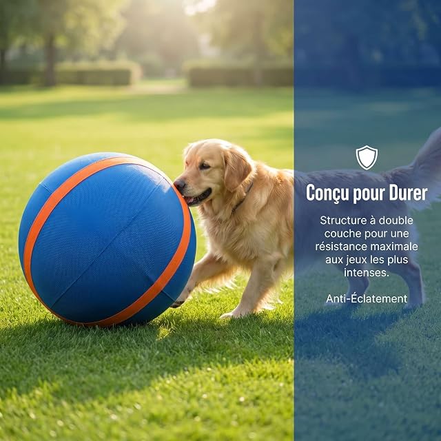 Foto 3 de 7 de Ruileyou Navea Pelota de pastoreo para perros, pelota gigante para Border Collies