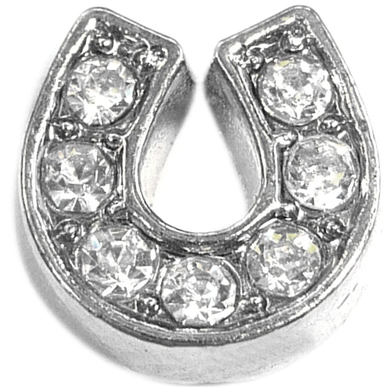 NewCharmsHorseshoe Floating Locket Charm