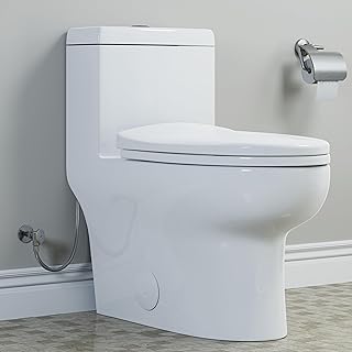 25 Eco Friendly Home Renovation Tips For Conscious Living 23 HOROW One Piece Elongated Toilet, High Efficiency Dual Flush 1.1/1.6 GPF...