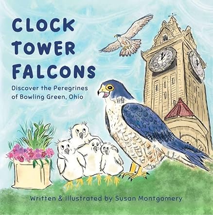 Clock Tower Falcons