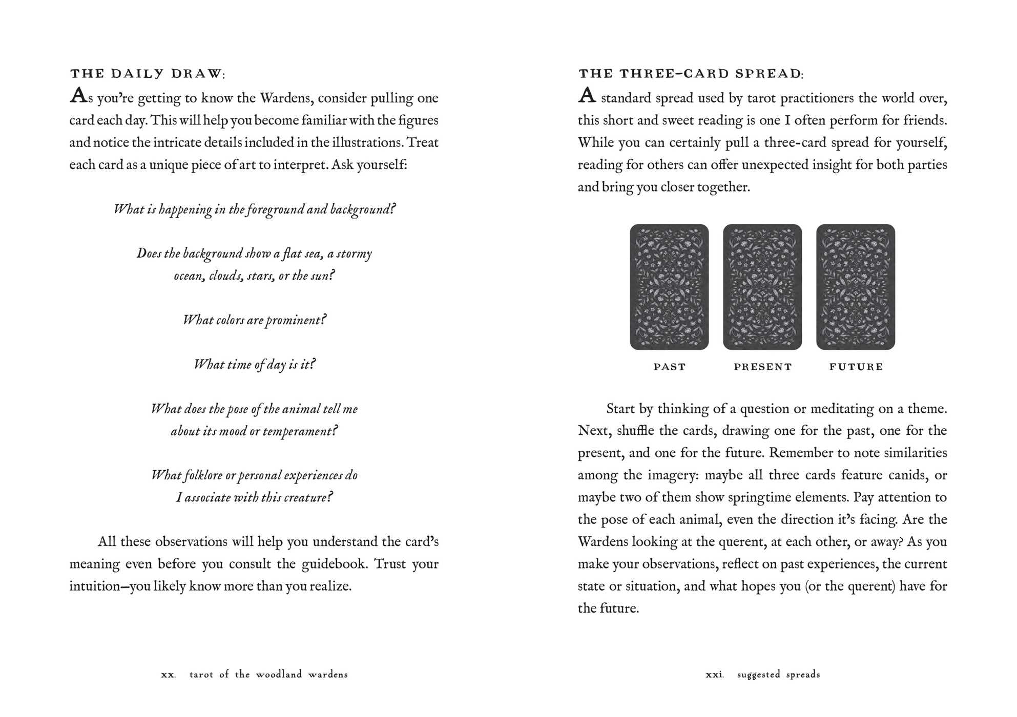 Tarot of the Woodland Wardens: 78-Card Deck & Guidebook