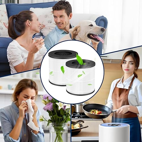 Miniatura 4 de Filtro de repuesto AP050, compatible con purificador de aire Tailulu AP050AP100, filtro de filtración de 3 etapas, H13 Hepa, filtro HEPA verdadero 3
