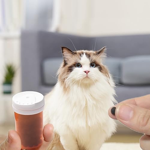 Miniatura 7 de Botella de píldoras con tapa desecante, botella de medicina, botellas de píldoras vacías con tapas, botellas de píldoras vacías (6 dram, paquete de