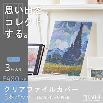 Amazon | リヒトラブ Collel クリアファイルカバー 3枚 A4 F480