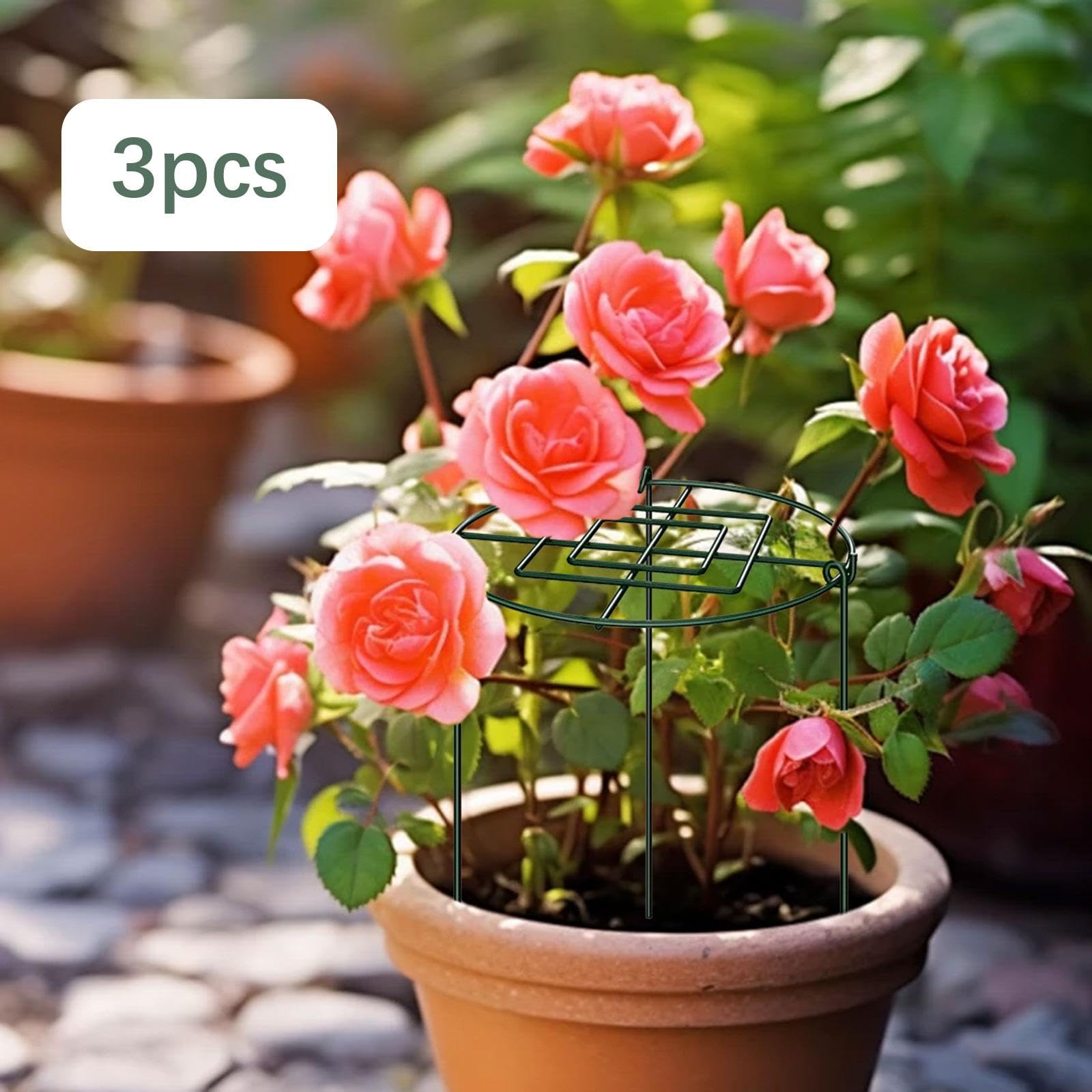 Lot de 3 Cages de Support pour Pivoines, Anneaux de Support Antirouille pour La Croissance des Plantes, Idéales pour Les Pivoines, Les Tomates et Les, 30x60cm