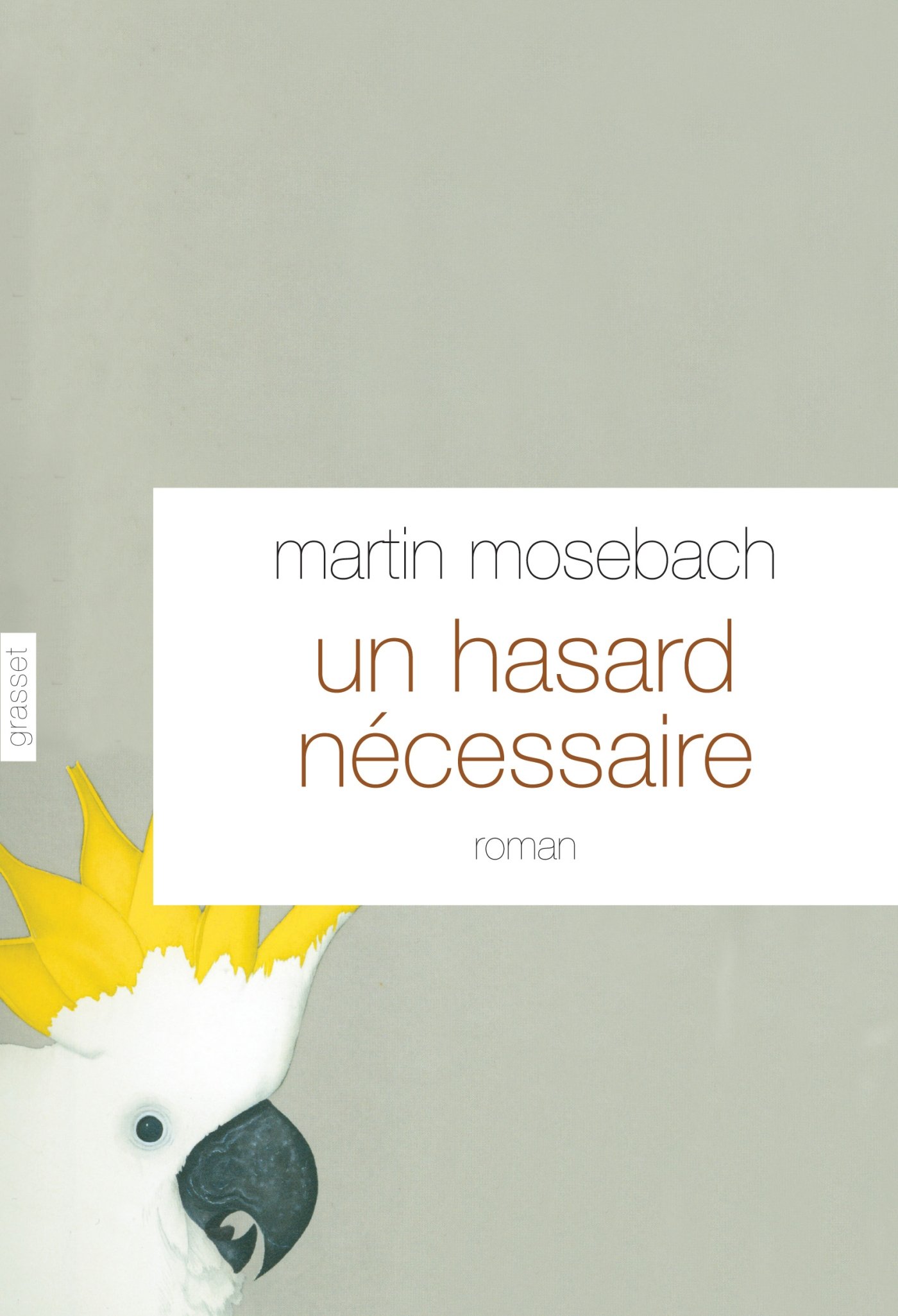 Un hasard nécessaire: Roman - traduit de l'allemand par Frédérique Laurent (Littérature Etrangère) (French Edition)
