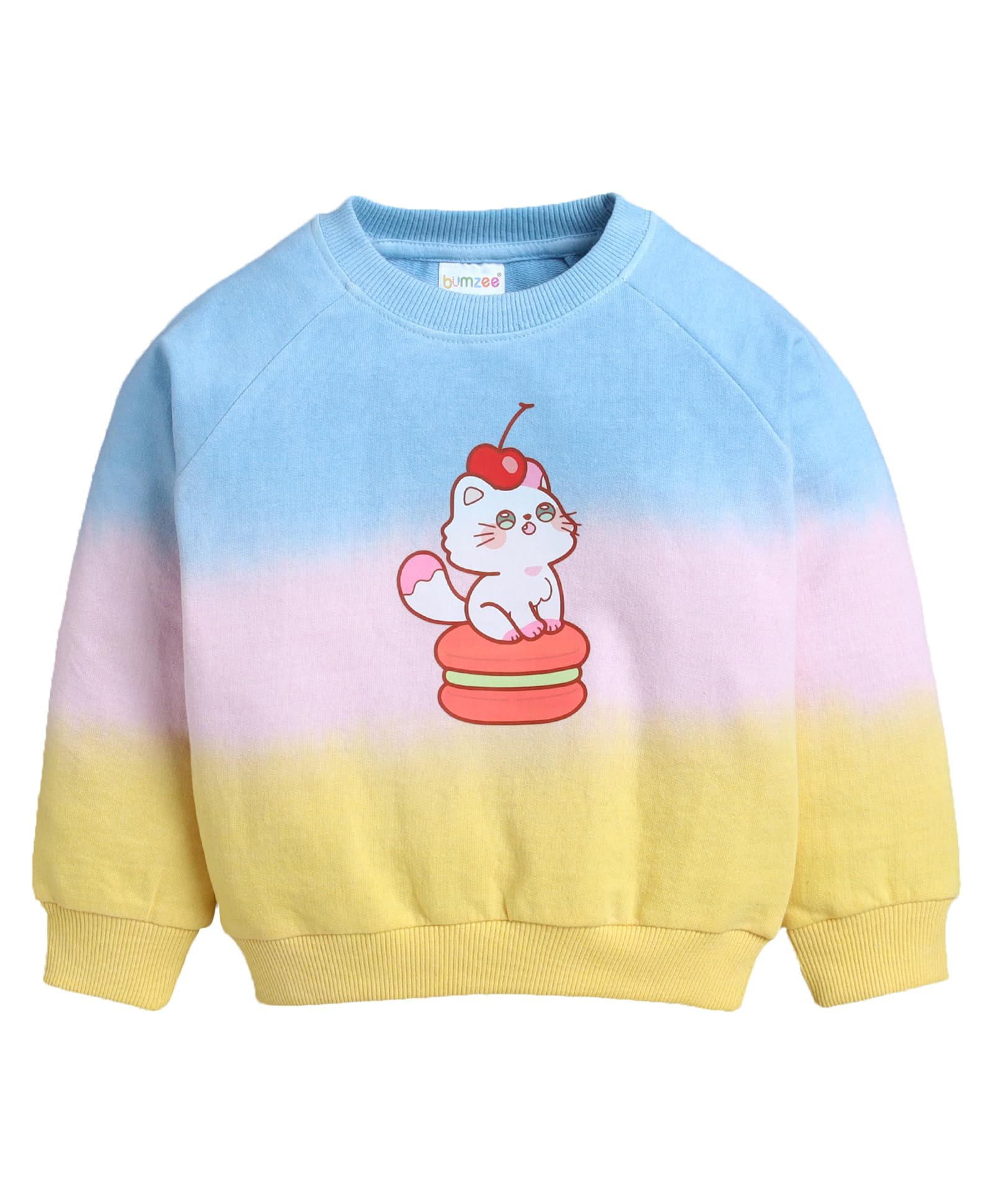 BUMZEE Girls Cotton Blend Full Sleeves Round Neck Sweatshirt (Peb10870876)-image-29