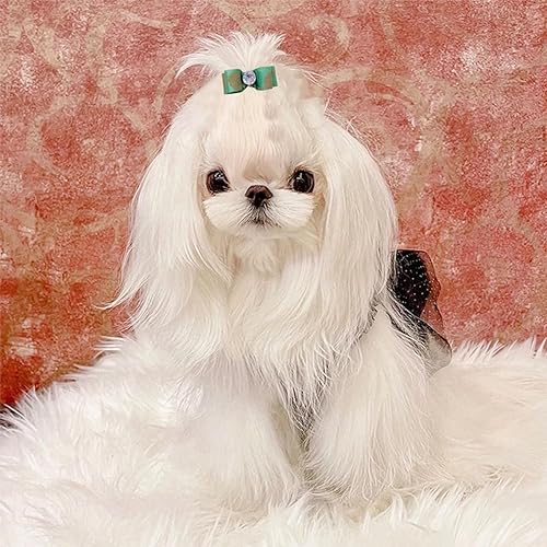 Miniatura 9 de Pet Show Surtido Rhinestone Tiny 10x 25mm lazos de pelo con bandas de goma cachorro perros pequeños mascotas topknot para gatos Grooming de cabello