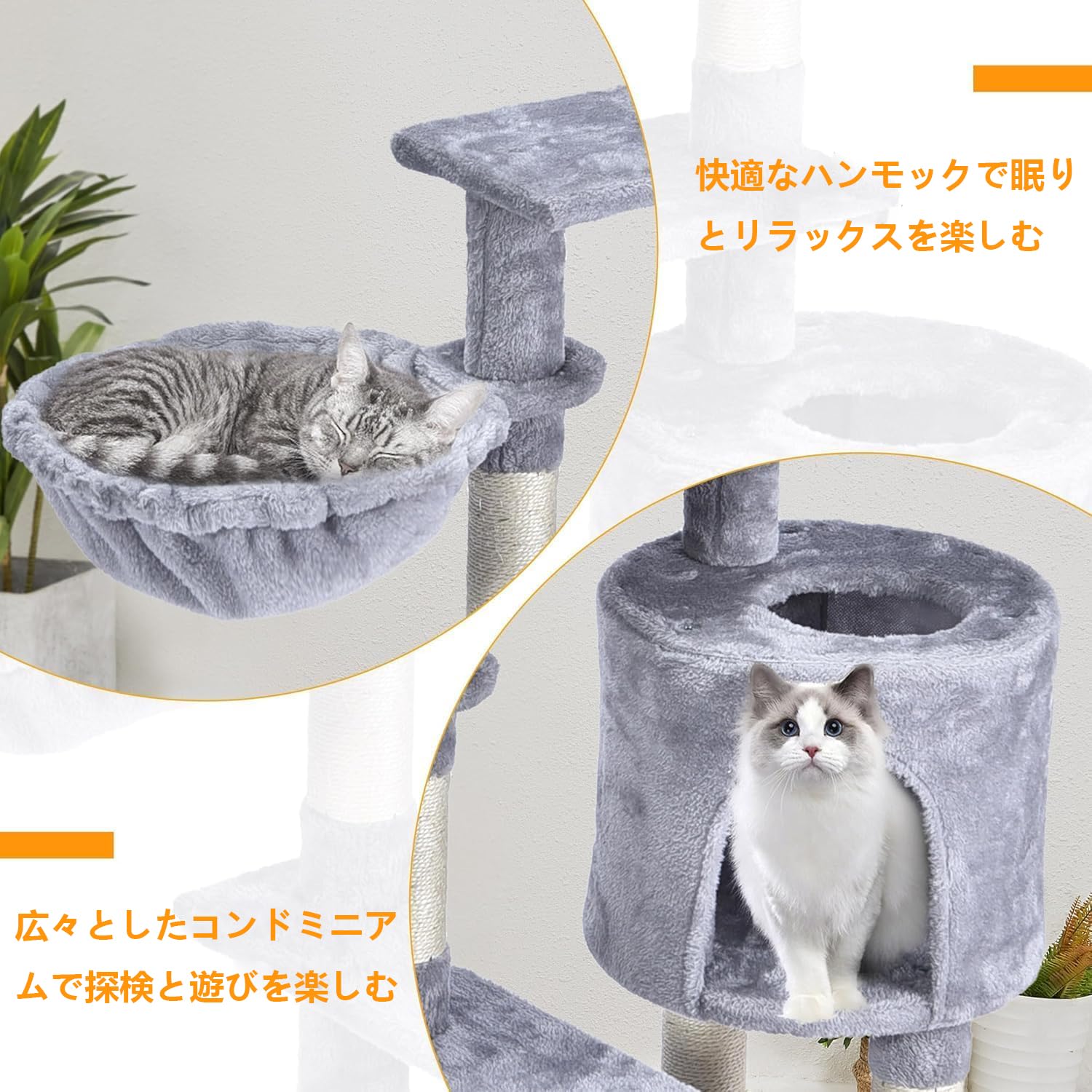 Amazon | キャットタワー、室内飼いの猫用、多層式の可愛いキャット