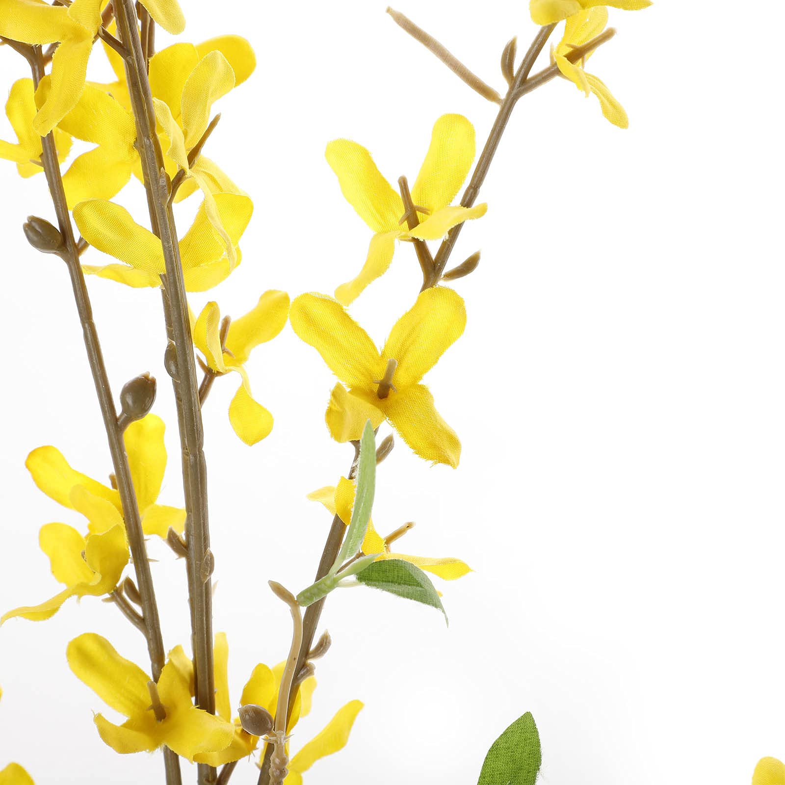Een Kopje Verse Thee Met Jasmijn Bloemen Op Een Zwarte Houten Tafel Plaats Voor Tekst 16476367