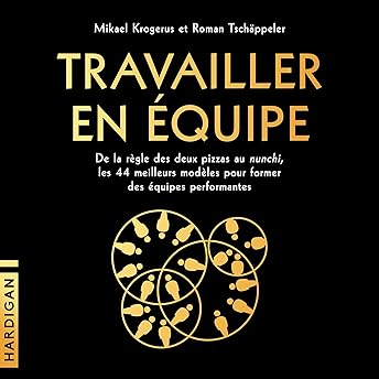 Travailler en équipe Livre Audio par Mikael Krogerus episode artwork