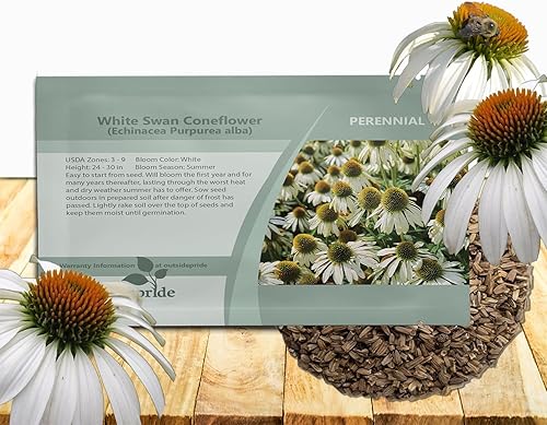 Outsidepride Echinacea White Swan Equinácea Plantas fragantes de flores cortadas para jardín, 1000 semillas