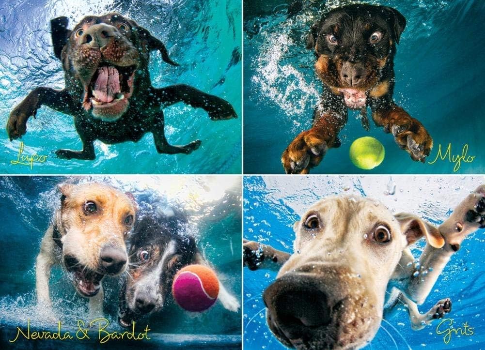 Willow Creek Press - 1000 Piece Puzzles for Adults - Underwater Dogs Jigsaw Puzzles Series -Splash
