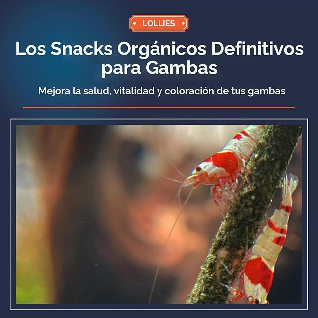 Foto 2 de 8 de 12 Lollies de espirulina para camarones de acuario/alimentación para camarones de acuario