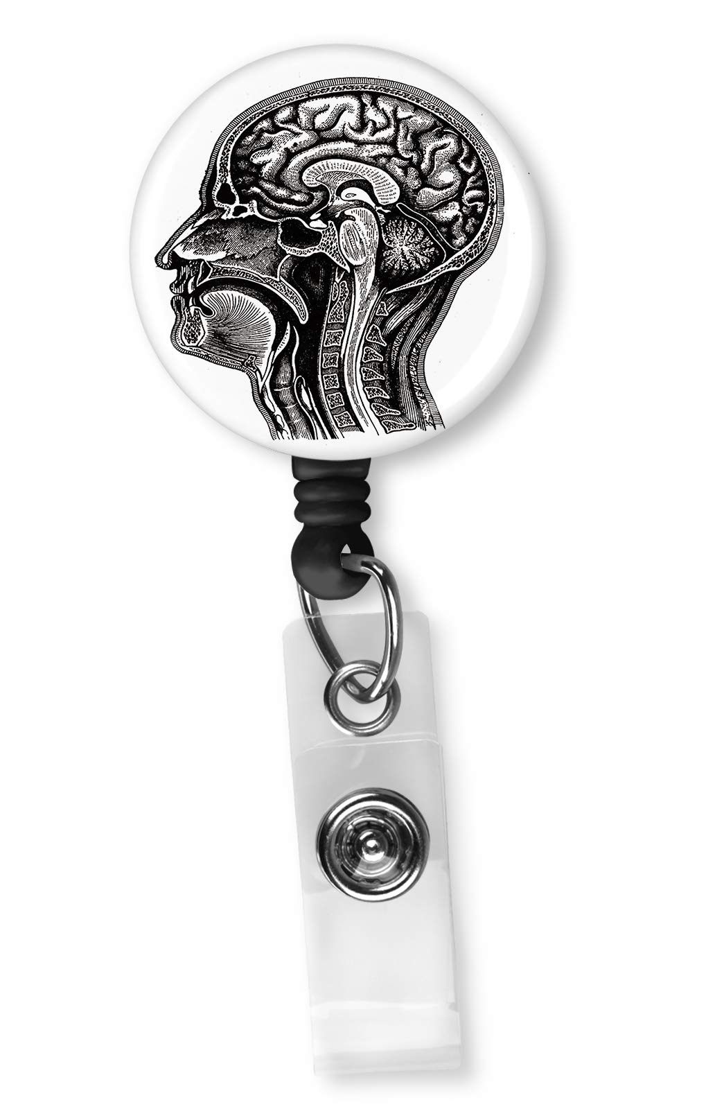 Longitudinal Section of The Human Head Retractable ID Card Badge Holder with Alligator Clip, Name Nurse Decorative Badge Reel Clip on Card Holders