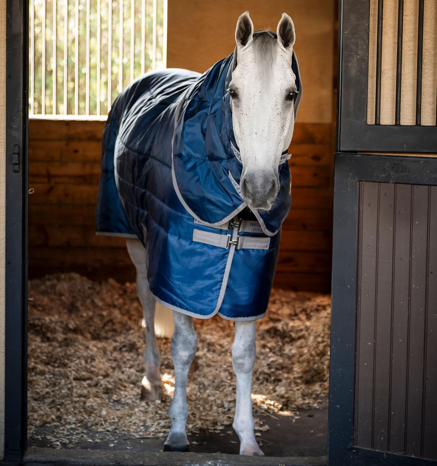 Couverture poney Amigo Ripstop Isolator Plus Pony 200g box hiver chaude