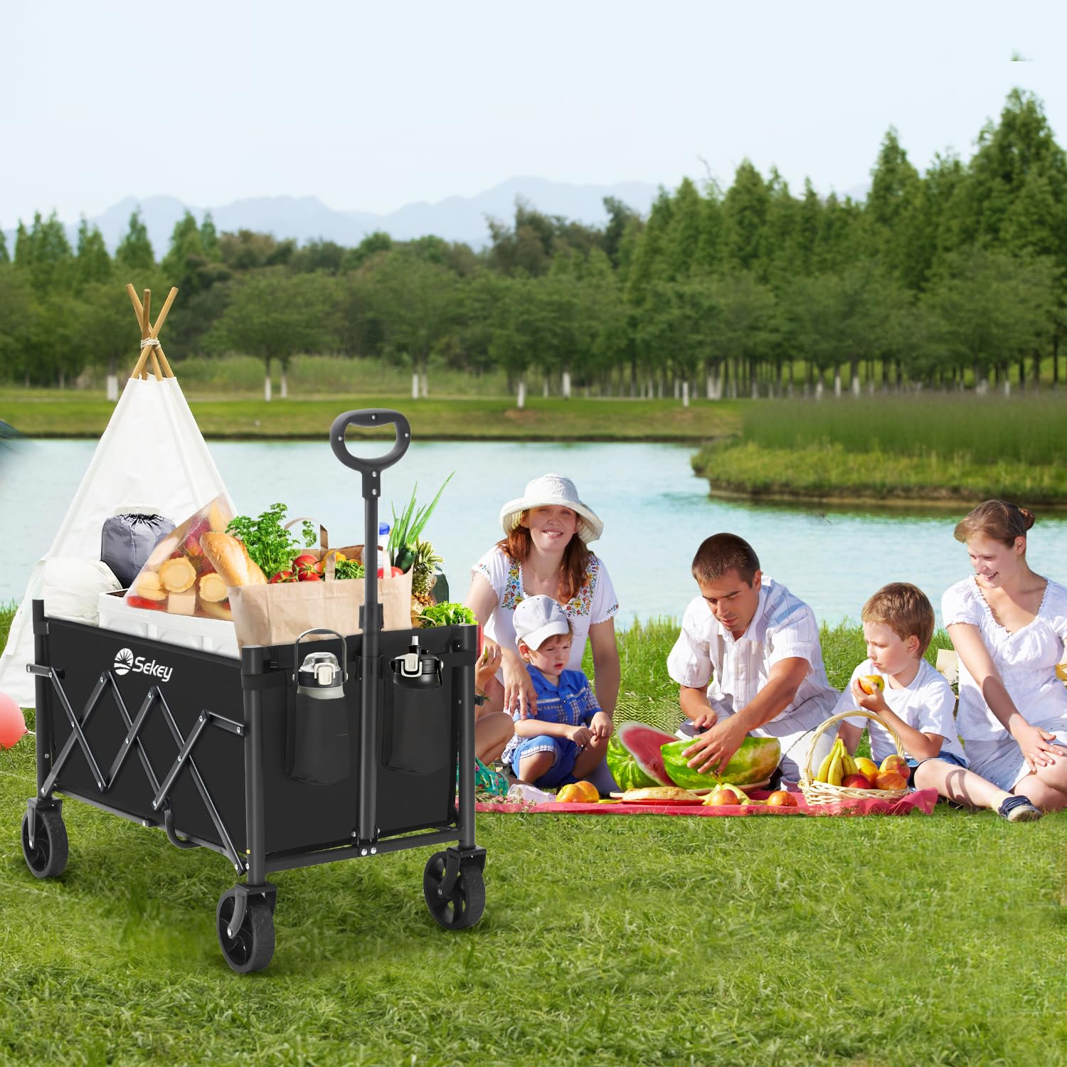 Sekey Chariot Pliable 60L 80 kg Capacité Compact Léger pour Courses et Poignée Réglable Mini 4029, Noir