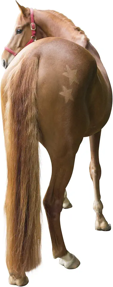 Stenciler för hästdekoration