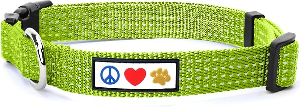 Pawtitas Reflective Dog Collar with Stitching Reflective Thread | Reflective Dog Collar with Buckle Adjustable and Better Training Great Collar for Small Dogs - Green Collar - 1
