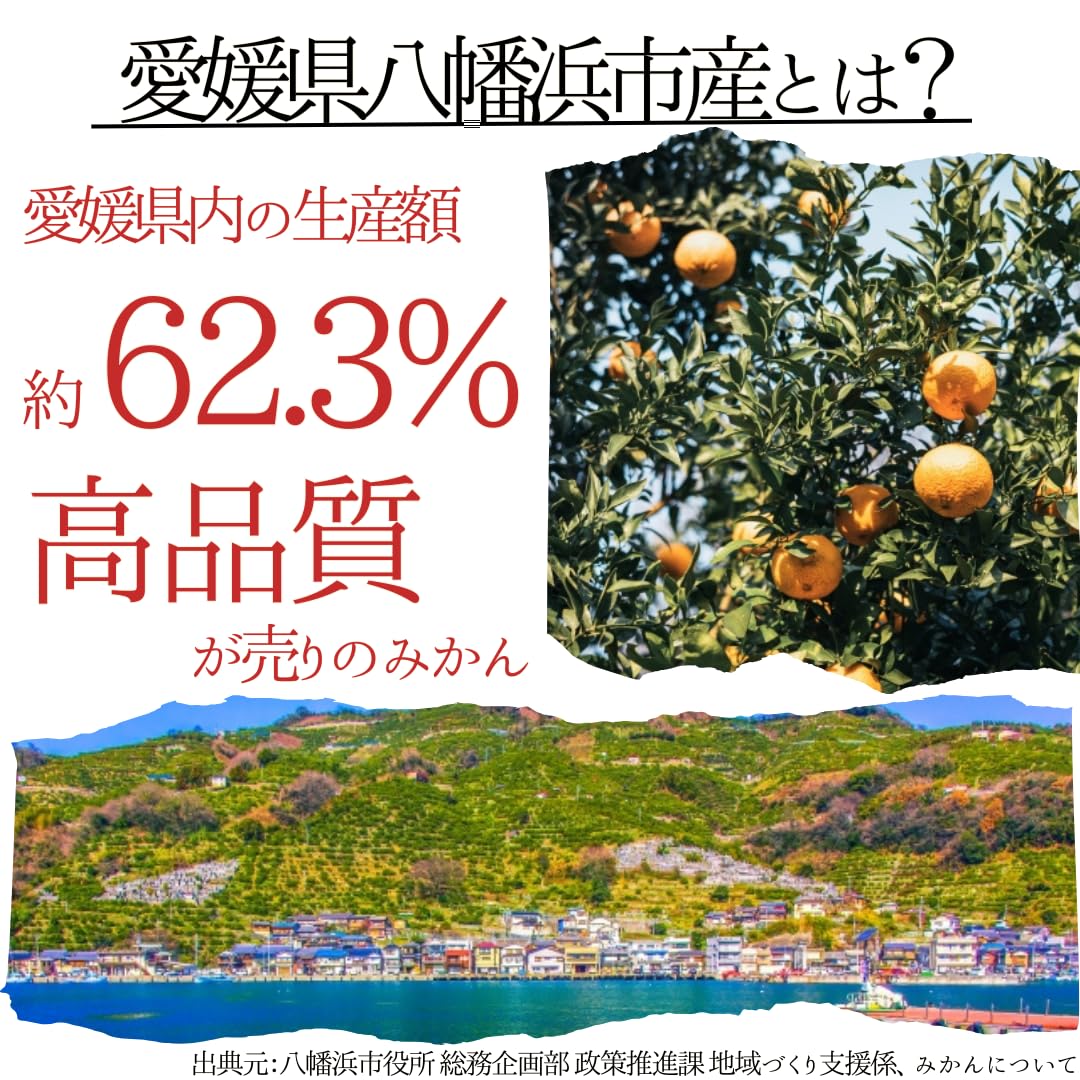 Amazon.co.jp: 【甘みが強い品種】 愛媛県産 ブラッドオレンジ