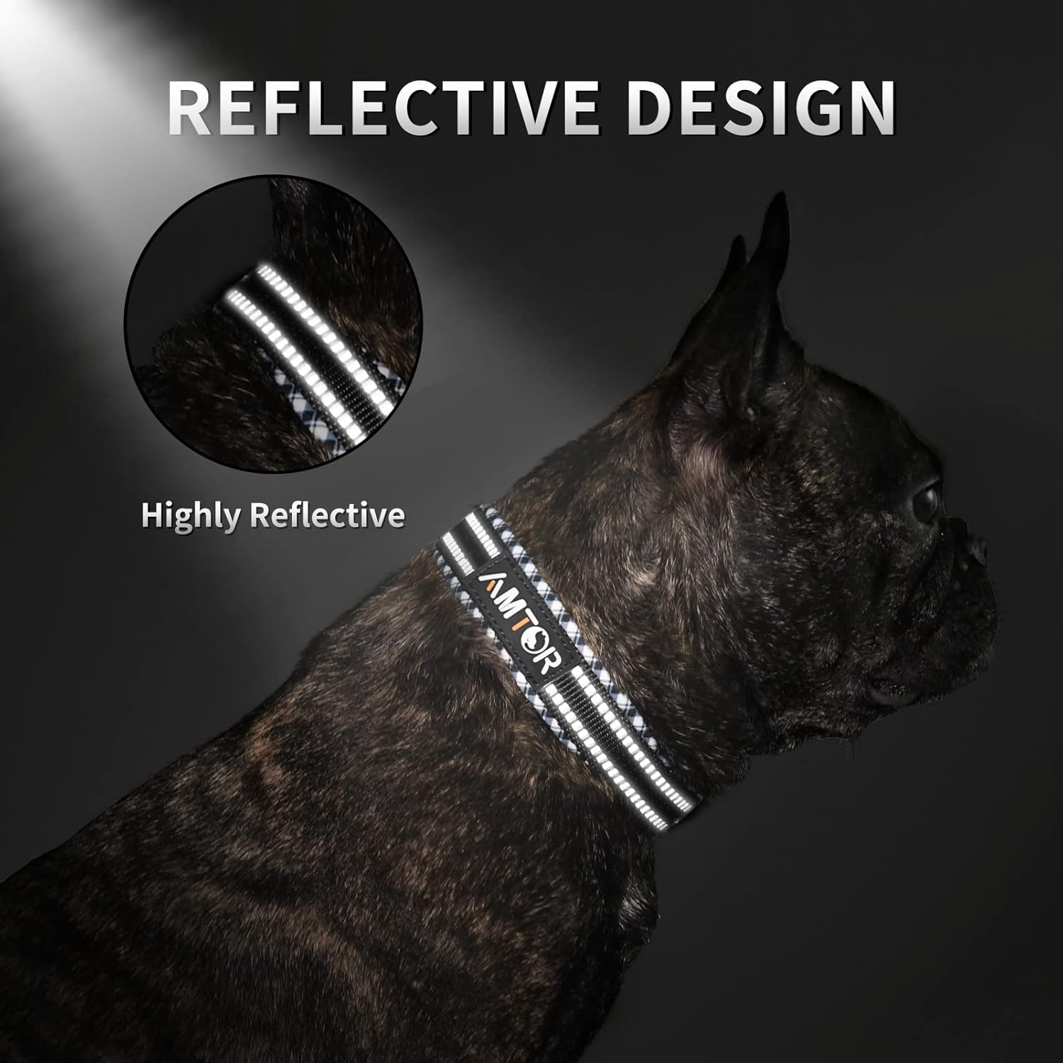 AMTOR Dog Collar with Leash Set,Reflective Soft Neoprene Padded Breathable Nylon Puppy Collar for Extra-Small/Small Medium Large Dogs : Pet Supplies