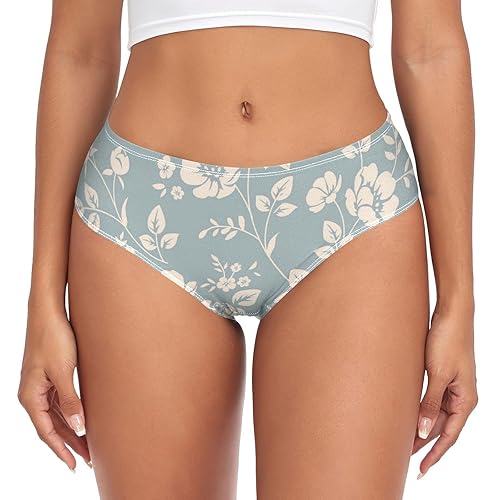 Hipster Panties Bikini Panties Woman Mid Waist Stretch No See