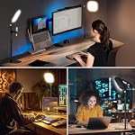 LitONES Lumières de conférence vidéo de bureau pour les réunions de Zoom,Luminaire de bureau informatique avec support de téléphone,Lampe de bureau variable pour le bureau à domicile,Lumière vidéo pour filmer,Enregistrement, Appels vidéo,Webcam