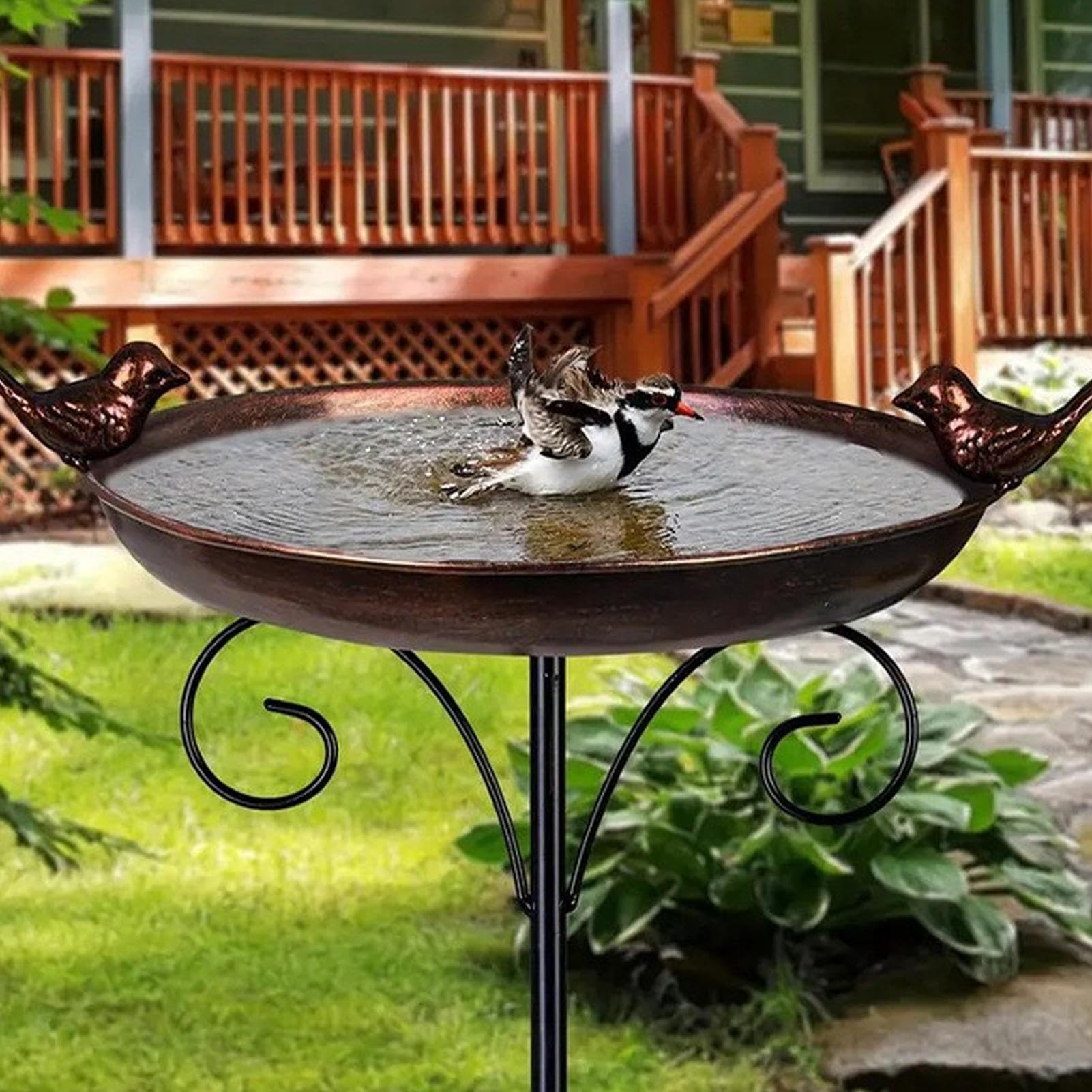 Bain d'Oiseau Vintage Bassine de Bain Abreuvoir pour Oiseaux