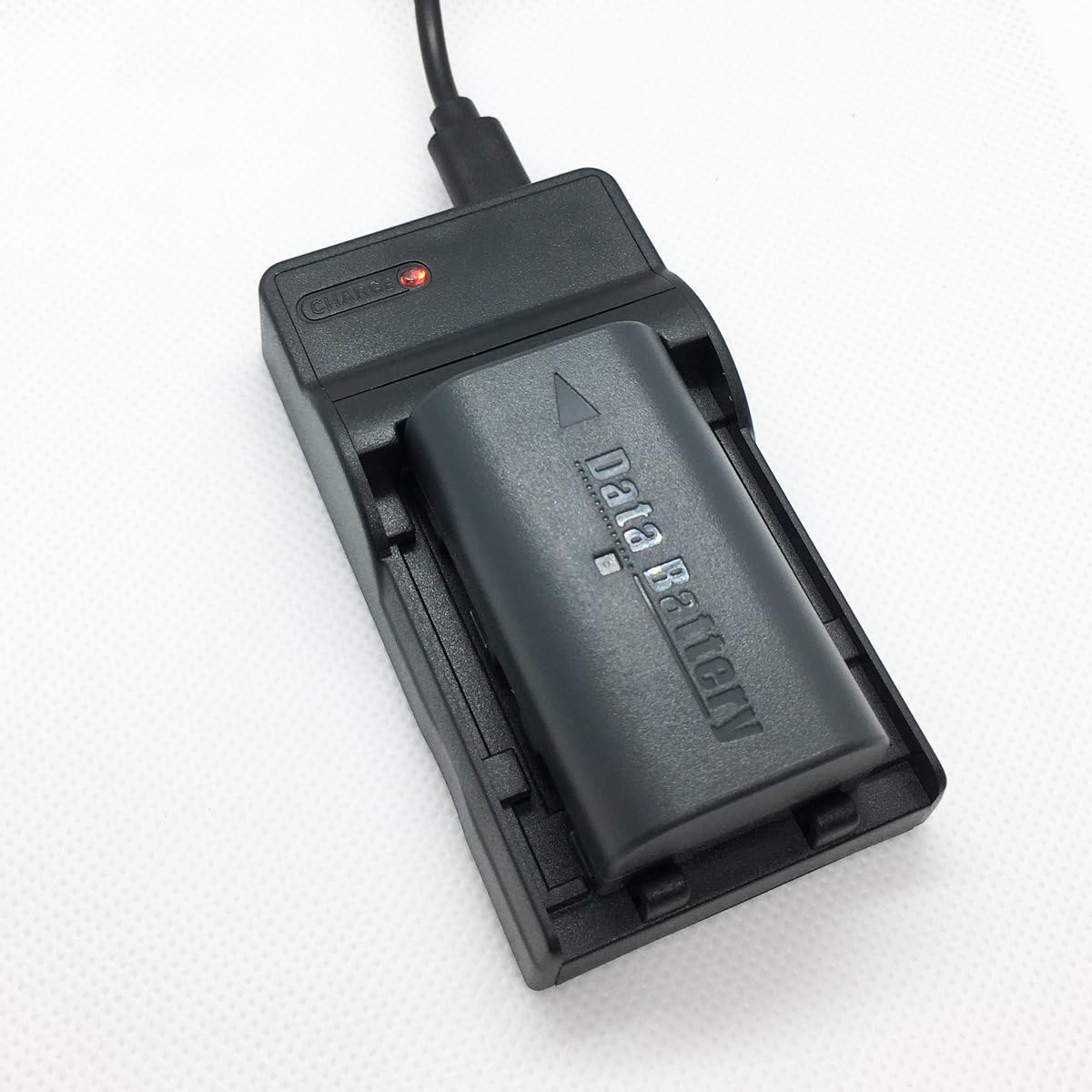 Battery Pack and USB Charger Kit for JVC Everio Camcorder
