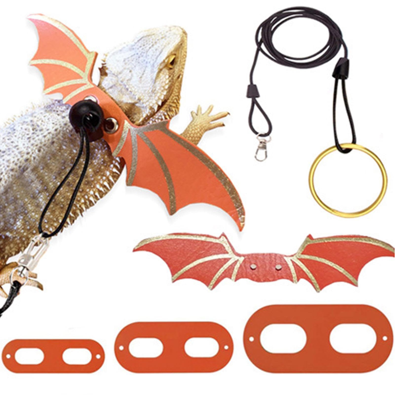 Amazon.co.jp: フトアゴヒゲトカゲのリード, 爬虫類用ハーネスとリード