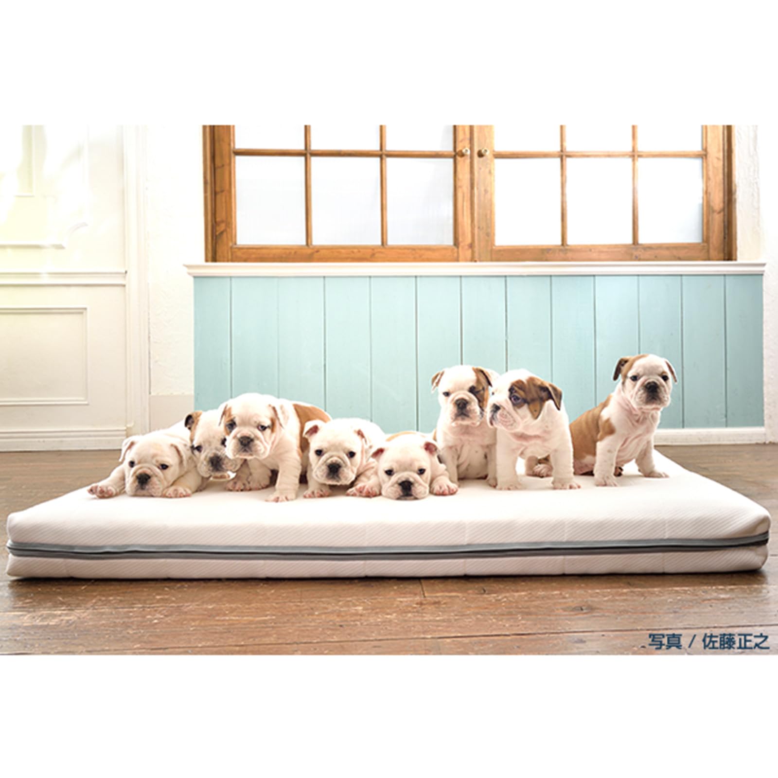 エアウィーブザドッグ　Lサイズ エアウィーヴ ベッドマットレス The airweave – sleep.airweave