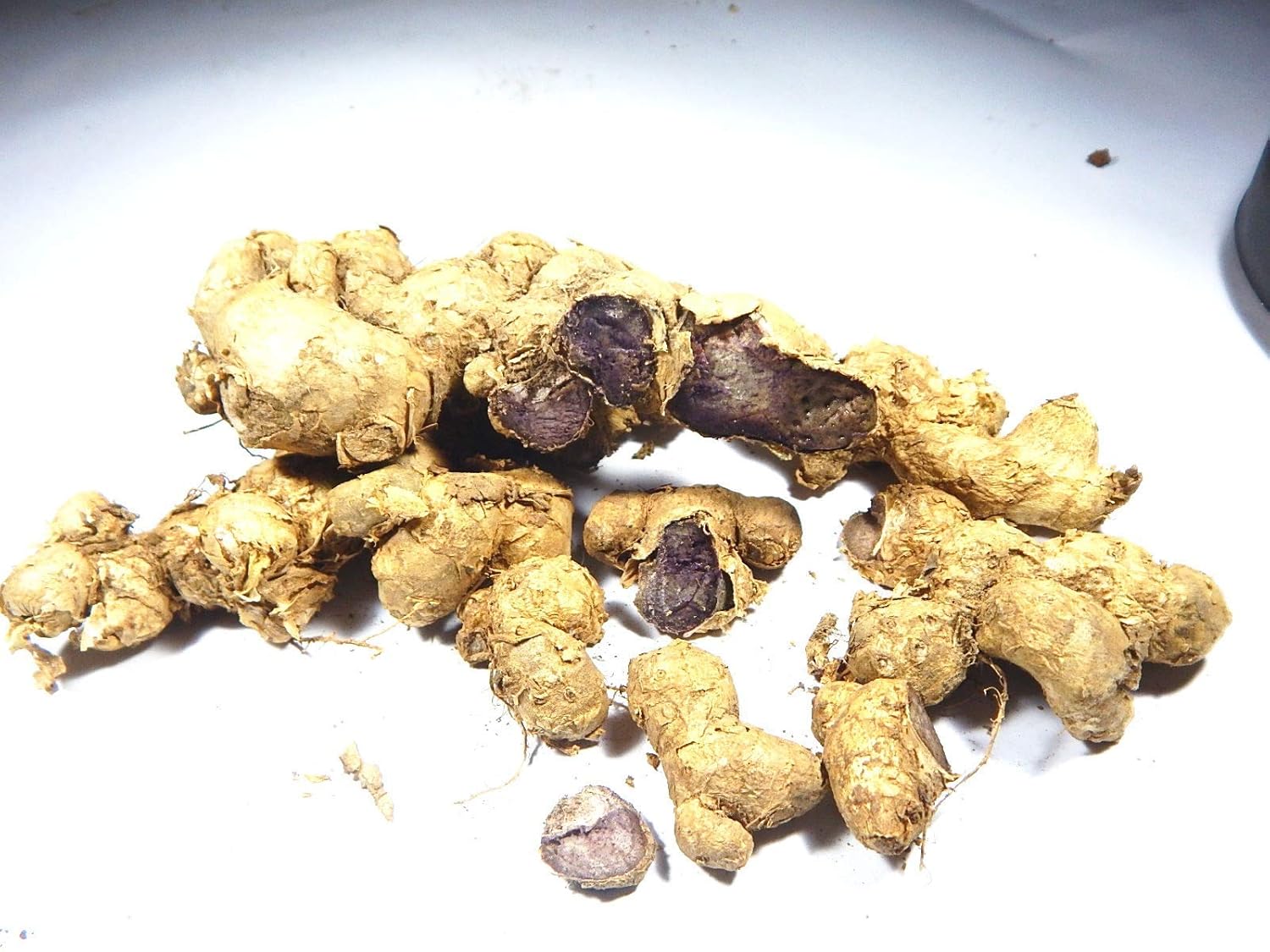 Farm Fresh Kali Haldi Black Turmeric Krishna kedar For Plantation 250Gms Recent Harvest