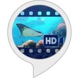 Traumwelten: Unterwasserwelt