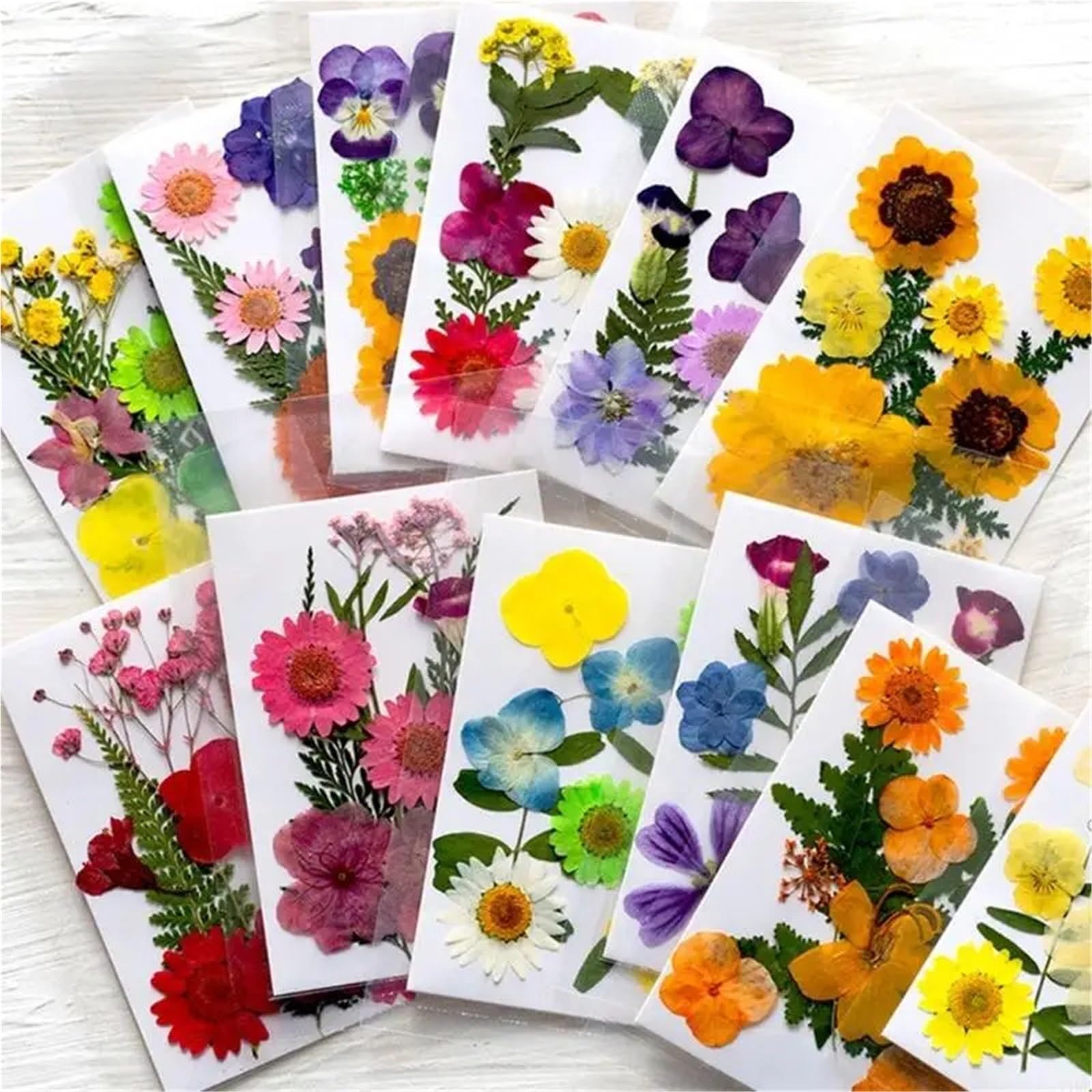 Fiori Pressati ed Essiccati 3 sacchetti di foglie fiori secchi pressati