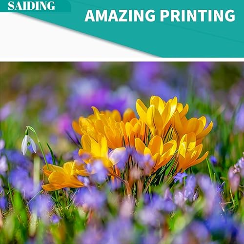 Miniatura 316 de SAIDING Cartuchos de tinta remanufacturados 712 712XL de repuesto para impresora de trazador DesignJet T230 T210 T650 T630 Studio (paquete de 4) 4-1