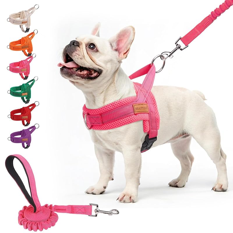 Peitoral vest para cães com guia elástica BEAUTYZOO em malha respirável rosa-escuro, tamanho M