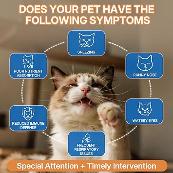 L-lysine Supplement for Cats, Immune Support for Cats, Chicken Flavor 2PCS