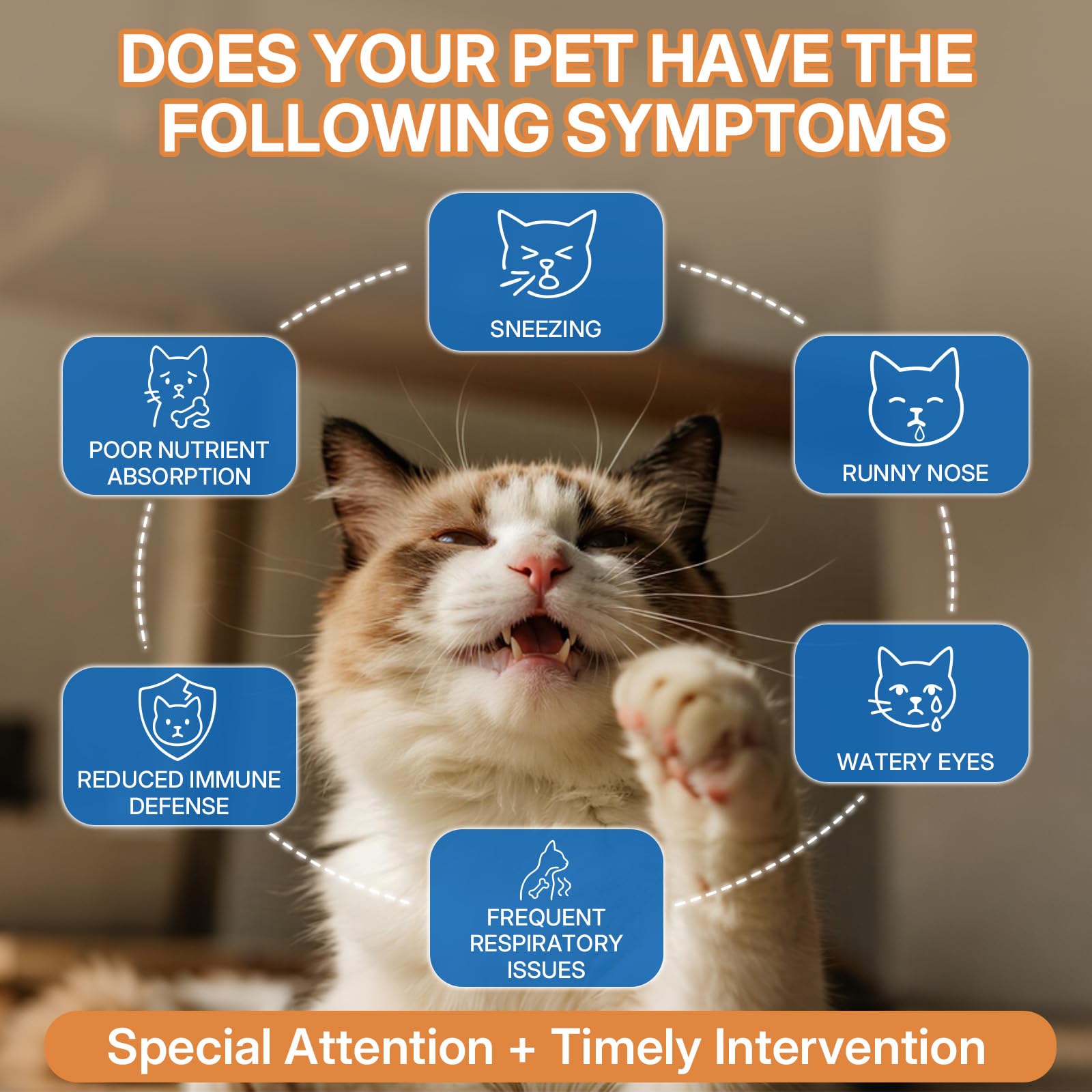 L-lysine Supplement for Cats, Immune Support for Cats, Chicken Flavor 60ml — Amazon image 3