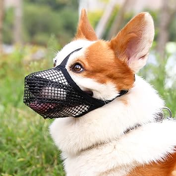 Crazy Felix Mesh Covered Dog Muzzle for Small Medium Large Dog Anti Eating