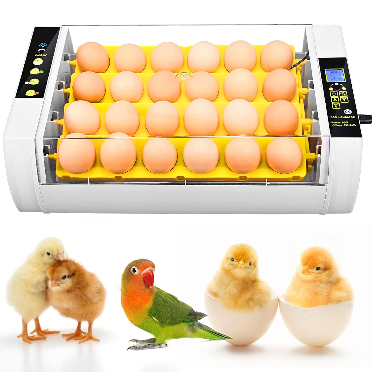 (US in Stock) 24 Eggs Automatic Egg Incubator, LCD Poultry Hatcher with Automatic Egg Turner and LED Egg Candler for Hatching Chicken Duck Goose Pigeon Parrot Quail Eggs