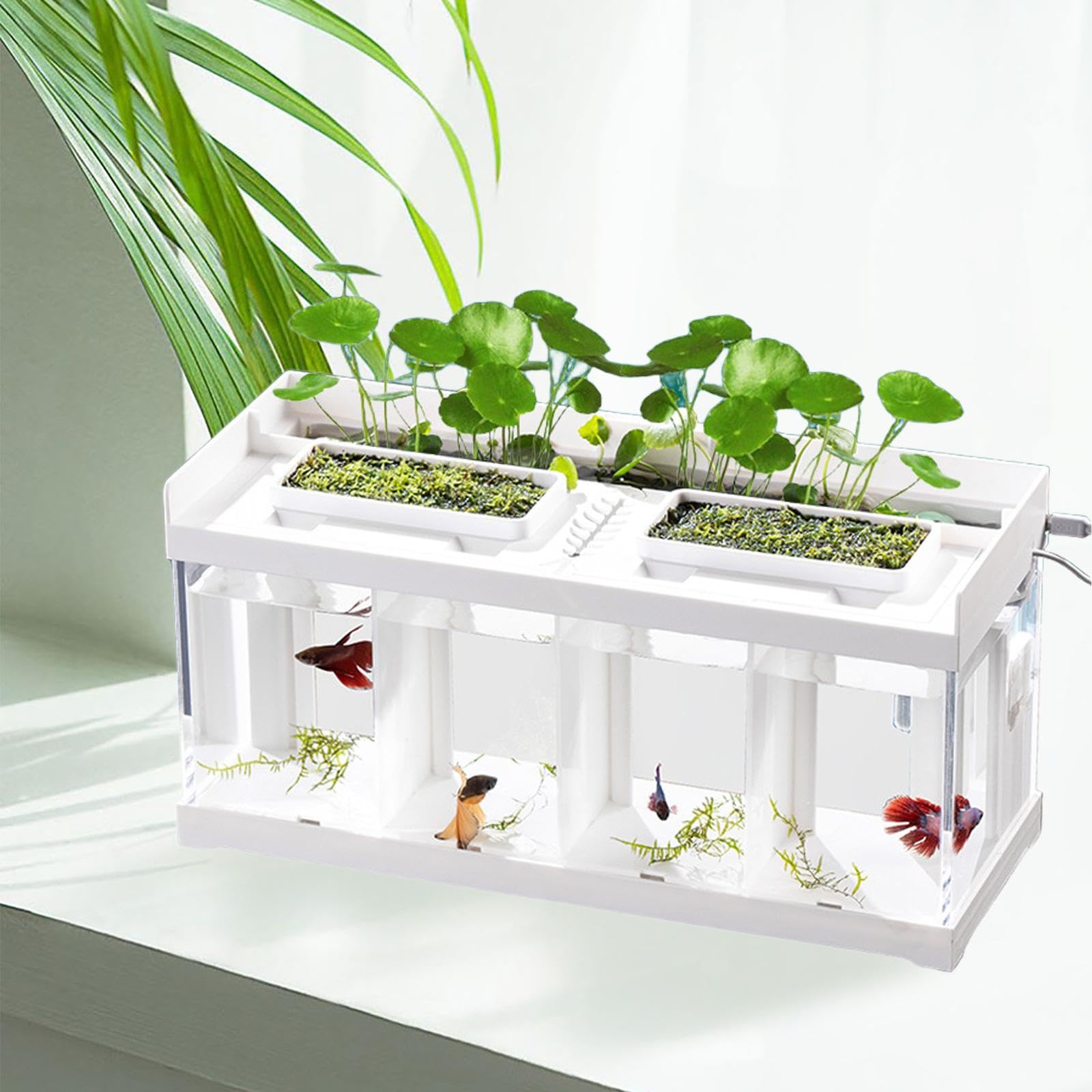 Mini Aquarium mit Integriertem Lichtstreifen Desktop Aquarium Fischzucht Box Aus Stabilem Klarer Fischbehälter mit Dekoration für Betta Fis, 4 Gitter