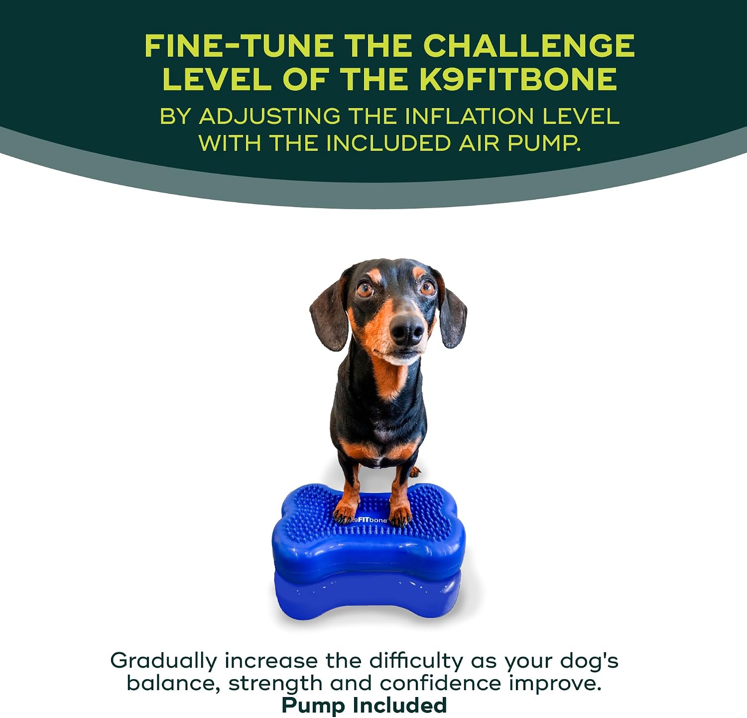 FitPAWS® K9FITbone® - Mini, Blue (Set of 2) | Dog Balance Training Platform & Exercise Equipment | Workout Tool for Strength, Core & Stability