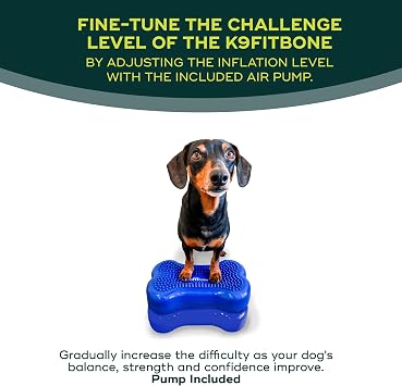 FitPAWS K9FITbone - Mini, Blue (Set of 2) | Dog Balance Training Platform & Exercise Equipment | Workout Tool for Strength, Core & Stability