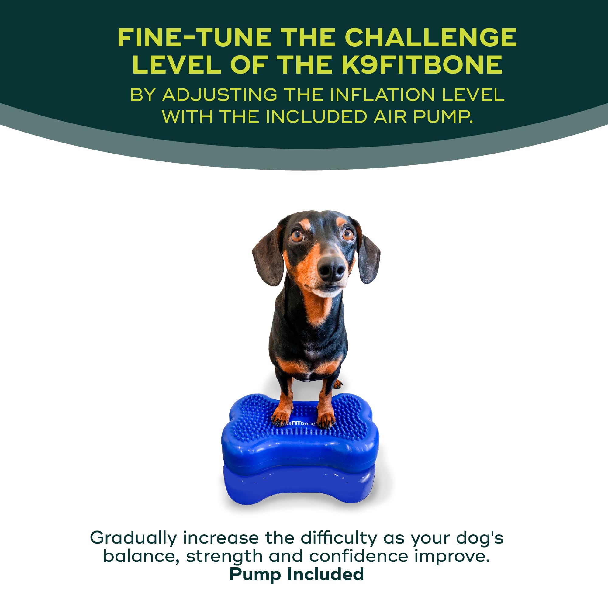 Amazon | Mini FitPAWS® K9FITbone CanineGym® ドッグバランス