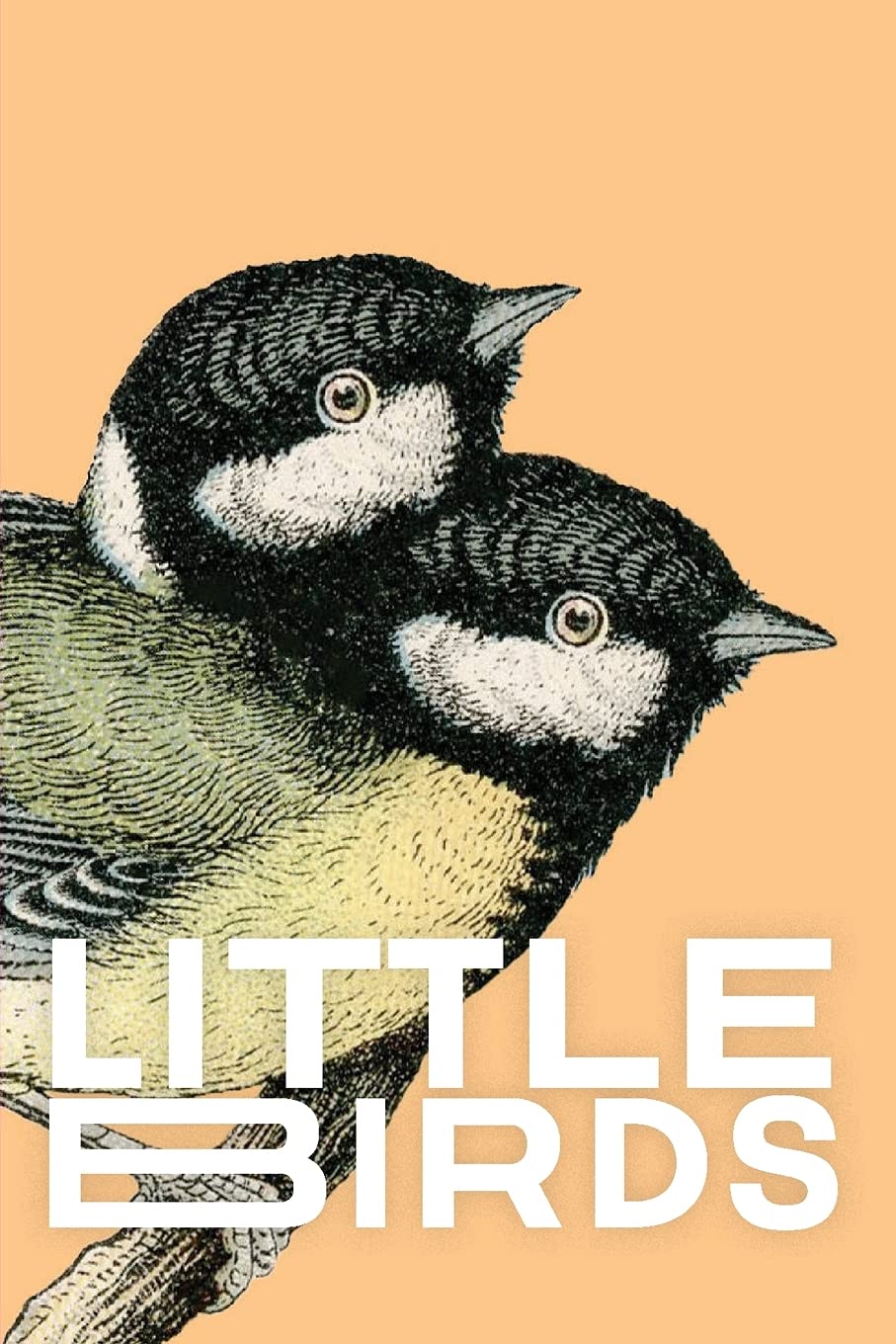 Little Birds