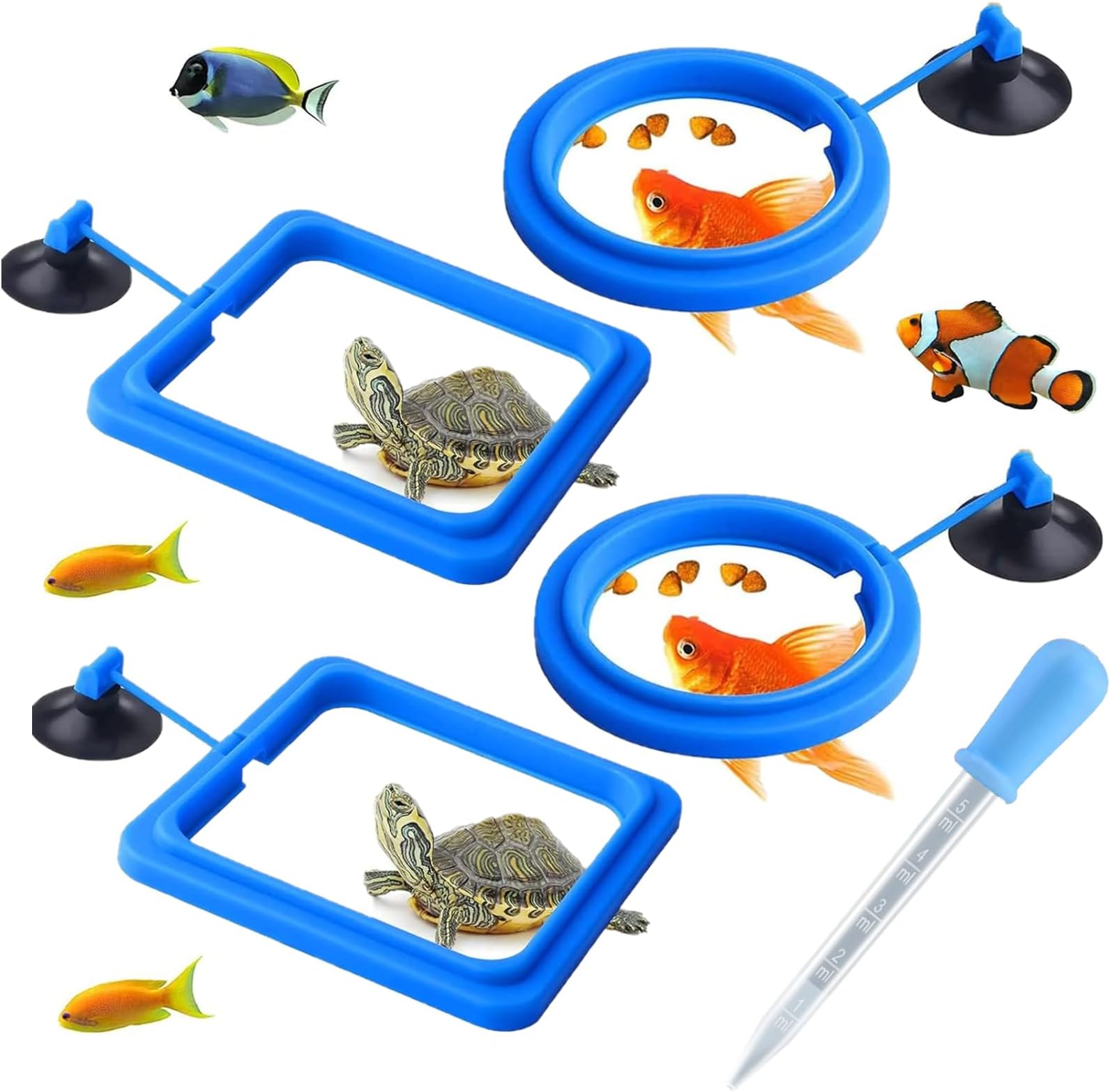 Toulifly Fish Feeder Ring, Feeder Circle, Fish Feeding Ring Pond, Set of 5 Fish Feeders, Floating Feeding Ring for Guppy, Bettas, Goldfish and Turtle, Round and Square (Blue)