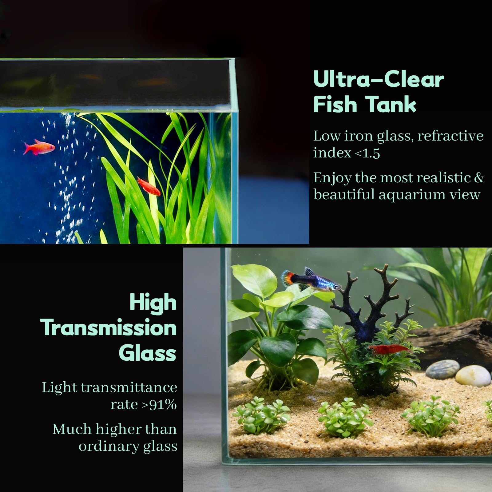 LAQUAL Kit Acuario de 7.6 L con Red, sifón & 2 paños de Limpieza, Cristal Transparente, pequeño Acuario para Betta y Peces Dorados, Bonita decoración del hogar